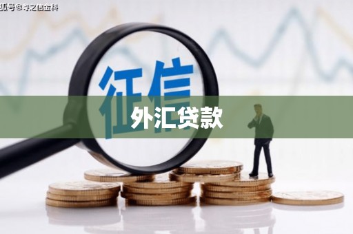 台南外汇贷款