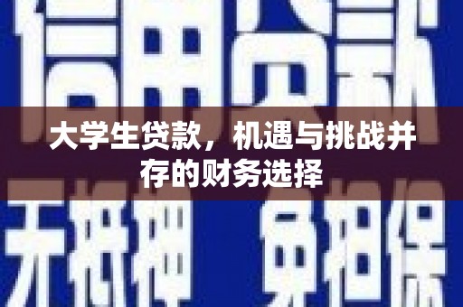 台南大学生贷款，机遇与挑战并存的财务选择