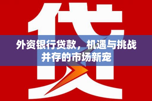 台南外资银行贷款，机遇与挑战并存的市场新宠