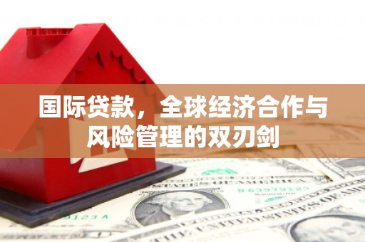 台南国际贷款，全球经济合作与风险管理的双刃剑