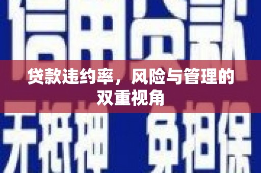 台南贷款违约率，风险与管理的双重视角