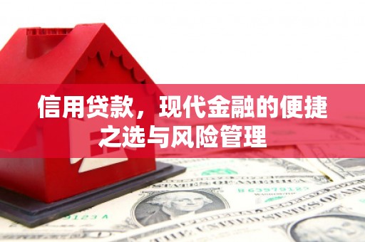 台南信用贷款，现代金融的便捷之选与风险管理