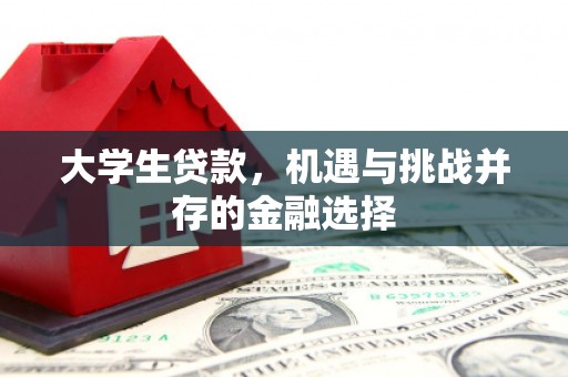 台南大学生贷款，机遇与挑战并存的金融选择