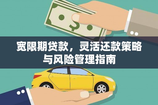 台南宽限期贷款，灵活还款策略与风险管理指南