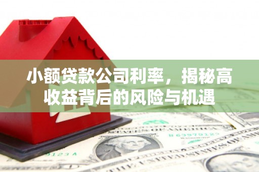 台南小额贷款公司利率，揭秘高收益背后的风险与机遇