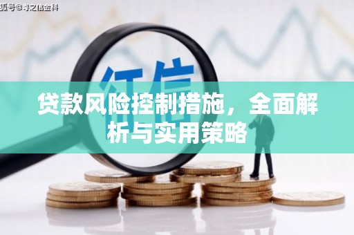台南贷款风险控制措施，全面解析与实用策略