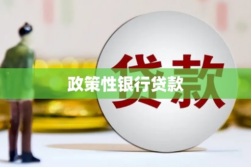 台南政策性银行贷款