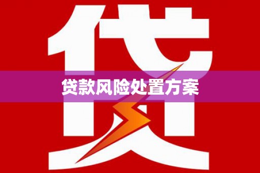 台南贷款风险处置方案