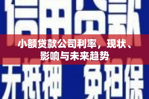 台南小额贷款公司利率，现状、影响与未来趋势