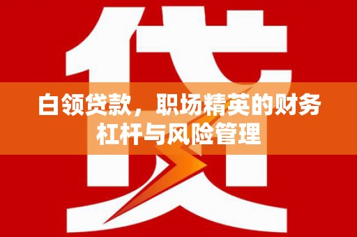 台南白领贷款，职场精英的财务杠杆与风险管理