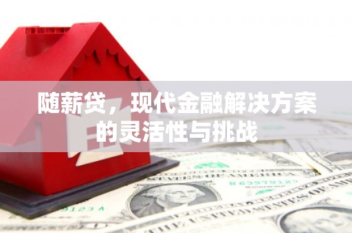 台南随薪贷，现代金融解决方案的灵活性与挑战