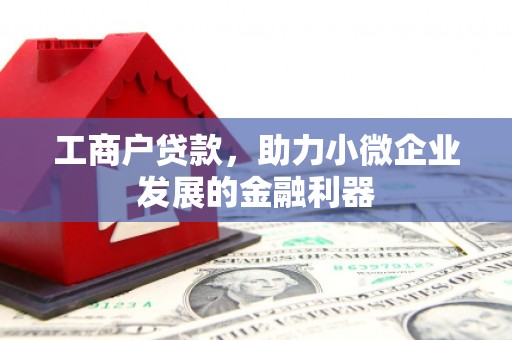 台南工商户贷款，助力小微企业发展的金融利器