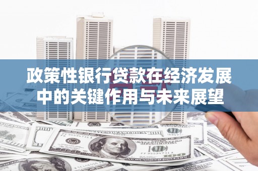 台南政策性银行贷款在经济发展中的关键作用与未来展望
