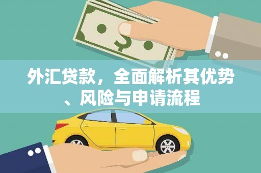 台南外汇贷款，全面解析其优势、风险与申请流程
