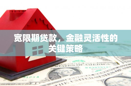 台南宽限期贷款，金融灵活性的关键策略