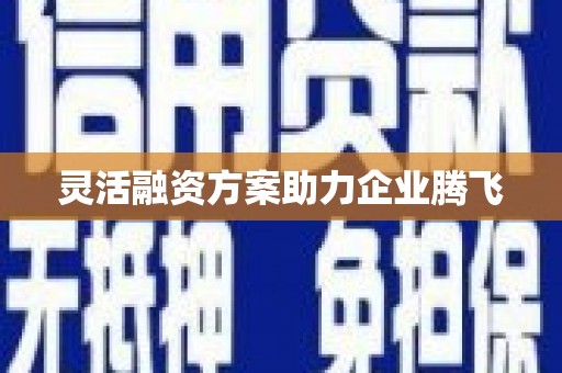 台南灵活融资方案助力企业腾飞