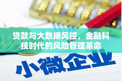 台南贷款与大数据风控，金融科技时代的风险管理革命