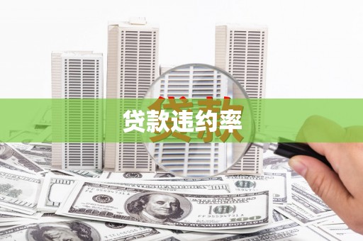 台南贷款违约率