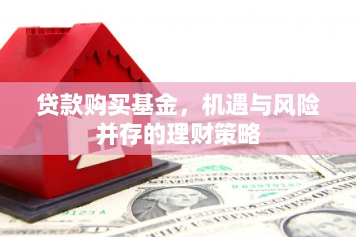 台南贷款购买基金，机遇与风险并存的理财策略