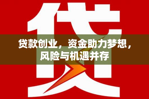 台南贷款创业，资金助力梦想，风险与机遇并存