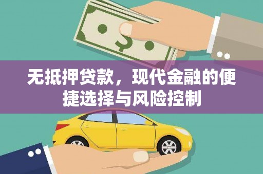 台南无抵押贷款，现代金融的便捷选择与风险控制