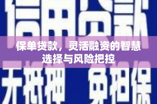 台南保单贷款，灵活融资的智慧选择与风险把控