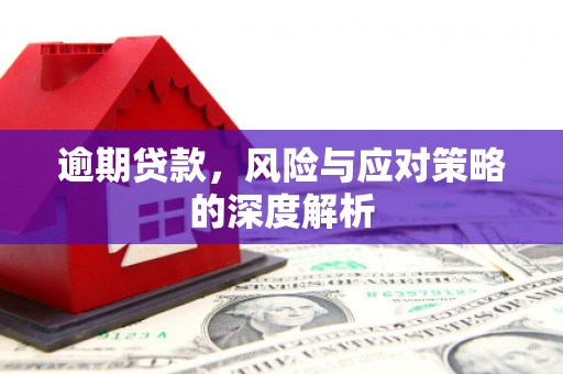 台南逾期贷款，风险与应对策略的深度解析
