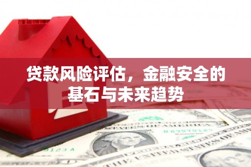 台南贷款风险评估，金融安全的基石与未来趋势