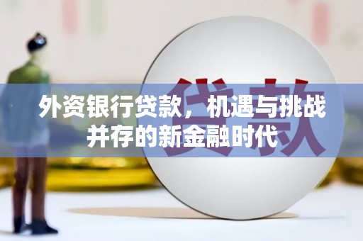 台南外资银行贷款，机遇与挑战并存的新金融时代
