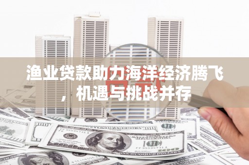 台南渔业贷款助力海洋经济腾飞，机遇与挑战并存