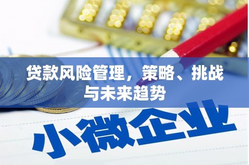 台南贷款风险管理，策略、挑战与未来趋势