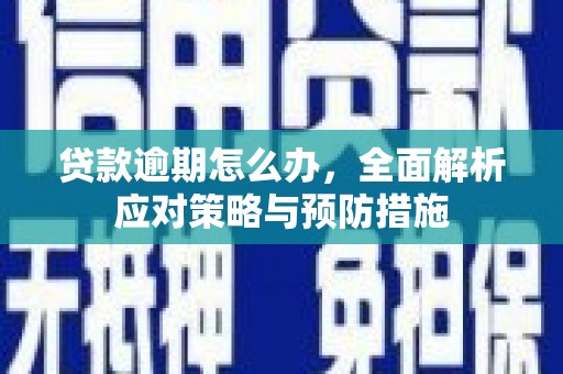台南贷款逾期怎么办，全面解析应对策略与预防措施