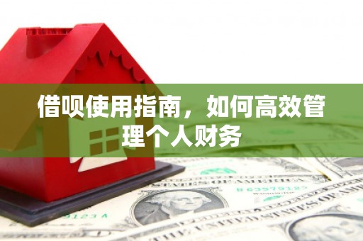 台南借呗使用指南，如何高效管理个人财务