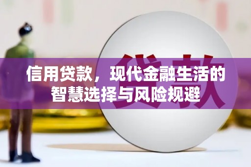 台南信用贷款，现代金融生活的智慧选择与风险规避