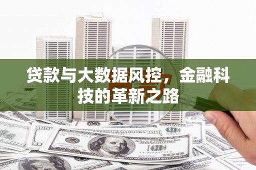 台南贷款与大数据风控，金融科技的革新之路