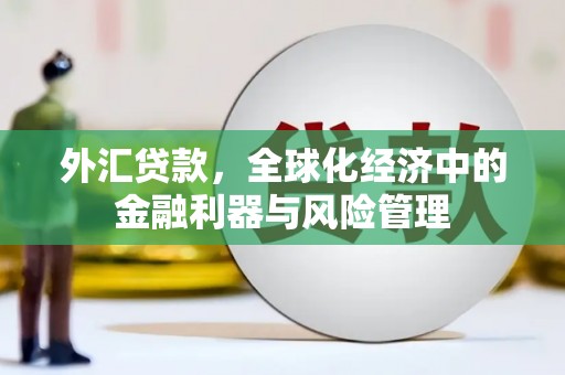 台南外汇贷款，全球化经济中的金融利器与风险管理