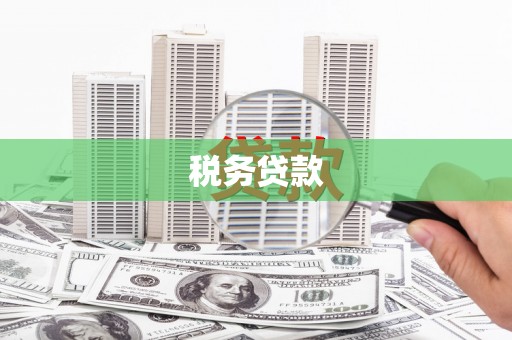 台南税务贷款
