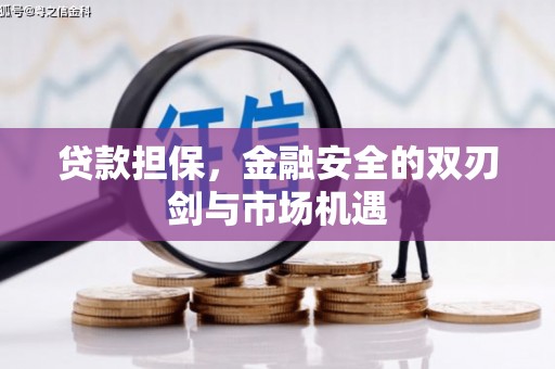 台南贷款担保，金融安全的双刃剑与市场机遇