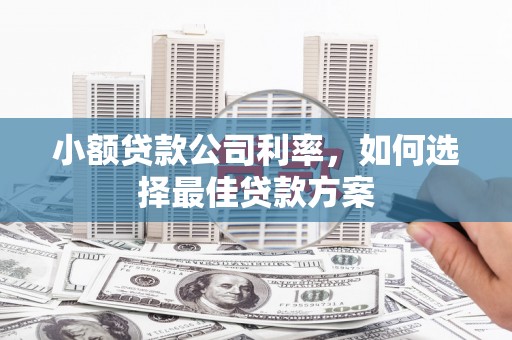 台南小额贷款公司利率，如何选择最佳贷款方案