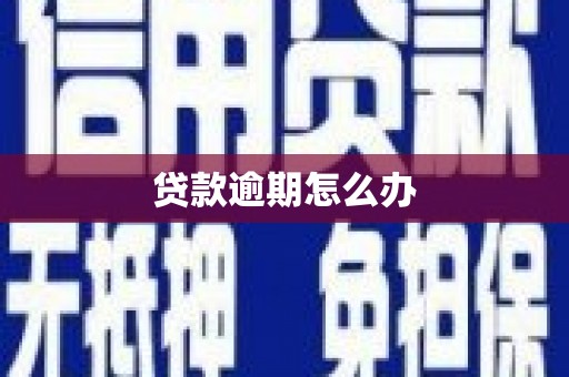 台南贷款逾期怎么办