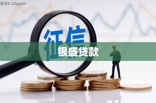 台南银盛贷款