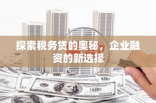 台南探索税务贷的奥秘，企业融资的新选择