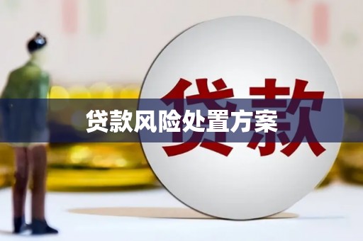 台南贷款风险处置方案