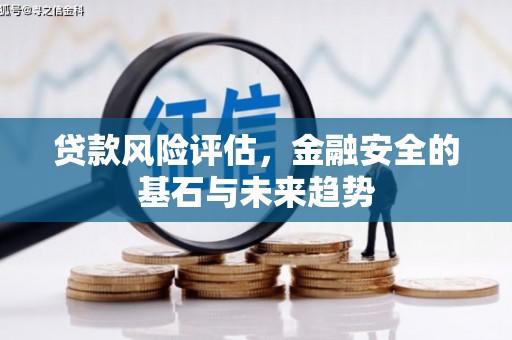 台南贷款风险评估，金融安全的基石与未来趋势