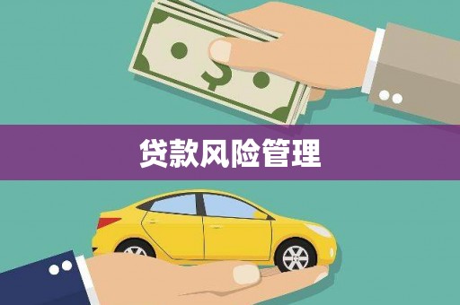台南贷款风险管理