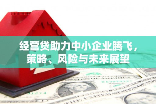 台南经营贷助力中小企业腾飞，策略、风险与未来展望