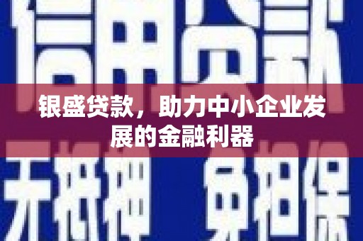 台南银盛贷款，助力中小企业发展的金融利器
