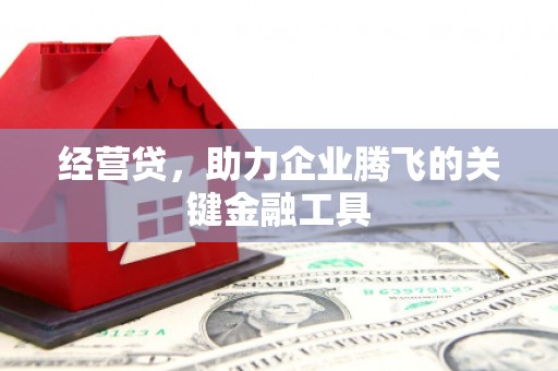台南经营贷，助力企业腾飞的关键金融工具