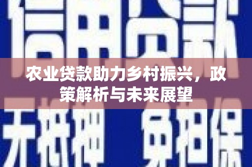 台南农业贷款助力乡村振兴，政策解析与未来展望