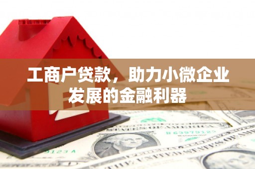 台南工商户贷款，助力小微企业发展的金融利器